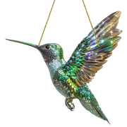 Outfany Spirit Birds